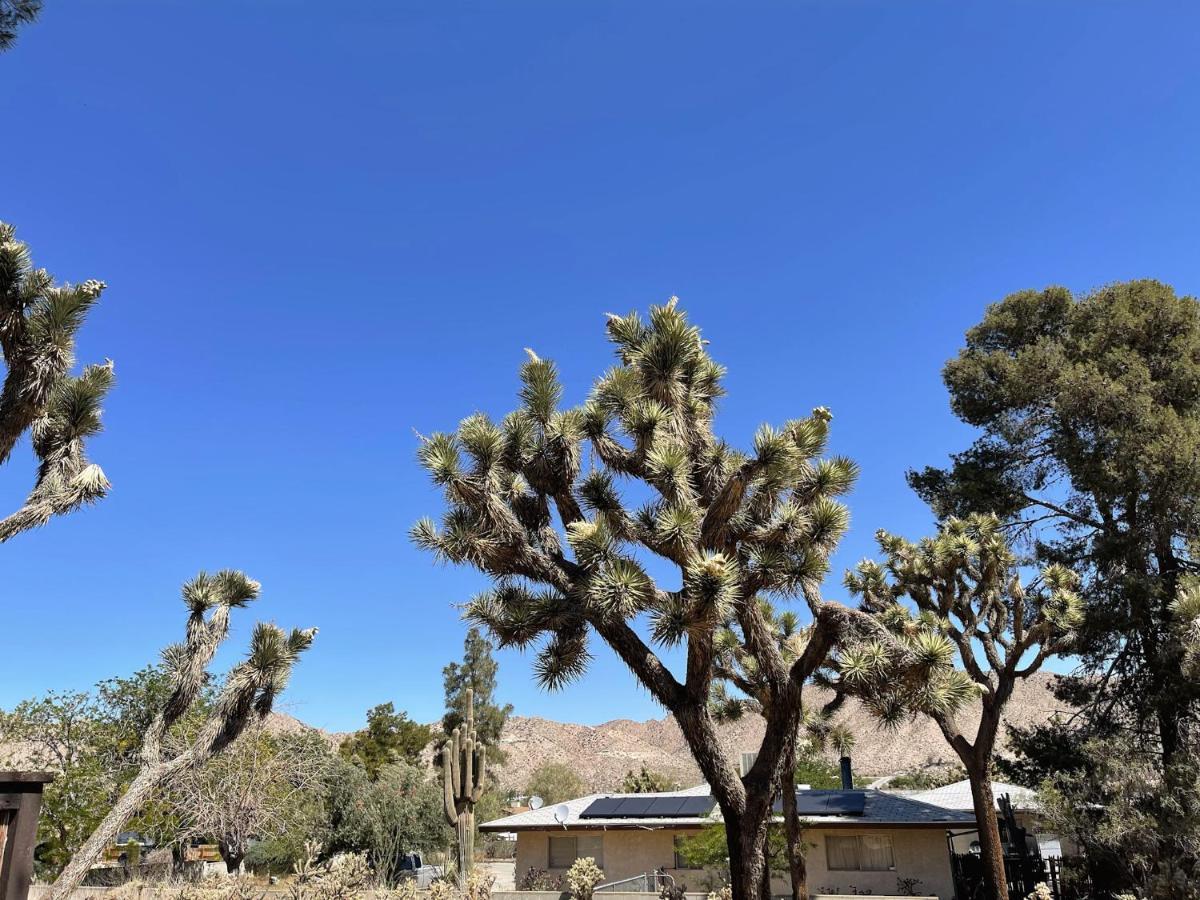 *New*King Beds*Bbq Grill*Fire-Pit*Hammock*Workplace Yucca Valley Exterior foto