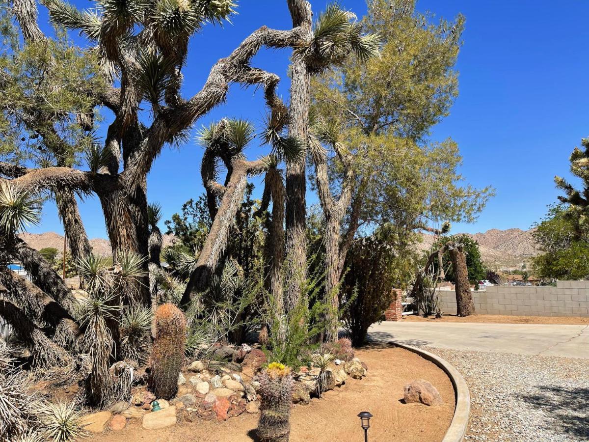 *New*King Beds*Bbq Grill*Fire-Pit*Hammock*Workplace Yucca Valley Exterior foto